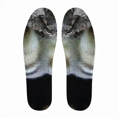 Men Hight Park Chipmunk Insole