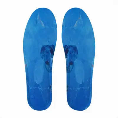 Men Mushinzen Insole