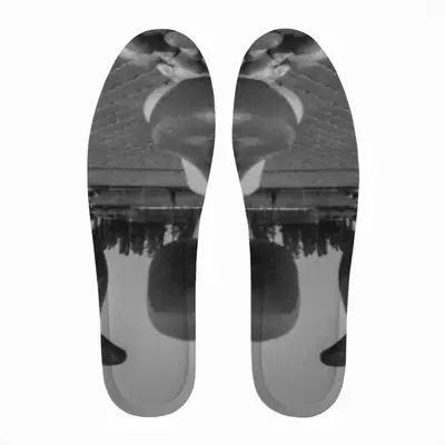 Men Dolphin Insole