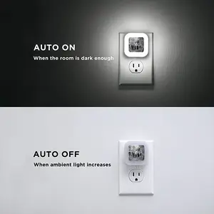 Family Roots Sensor Night Light (Square)