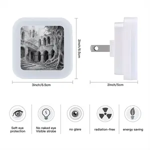 Family Roots Sensor Night Light (Square)