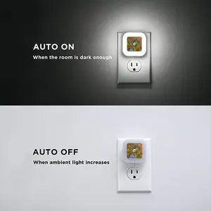 Hummingbird 12 Sensor Night Light (Square)