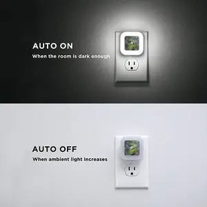 Hummingbird 9 Sensor Night Light (Square)