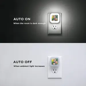 Beautiful Flowers Sensor Night Light (Square)