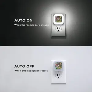 Similar But Not The Same Sensor Night Light (Square)