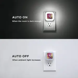 Smell Of Rose Sensor Night Light (Square)