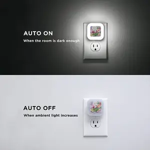 Roses In The Garden Sensor Night Light (Square)