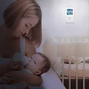 The Cycle Of Life Sensor Night Light (Square)