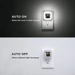 Bull - Red Bull Taurus Animals Buffalo Wild Sensor Night Light (Square)