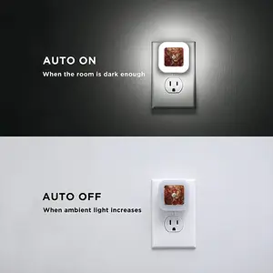 Caro - Of The Flesh Sensor Night Light (Square)