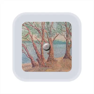 Trees Near A Lake Sensor Night Light (Square)