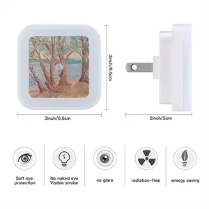 Trees Near A Lake Sensor Night Light (Square)