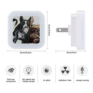 Barking Sensor Night Light (Square)