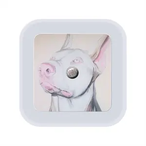 White Doberman Sensor Night Light (Square)