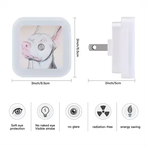 White Doberman Sensor Night Light (Square)