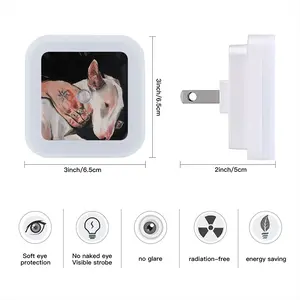 Dog Sensor Night Light (Square)