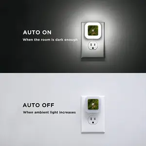 In The Depths Sensor Night Light (Square)