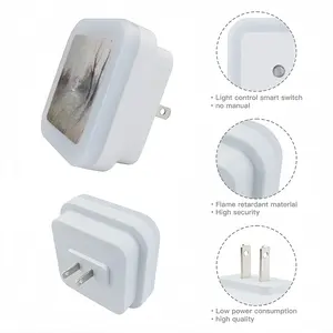 Bare Tree Sensor Night Light (Square)