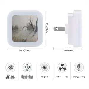 Bare Tree Sensor Night Light (Square)