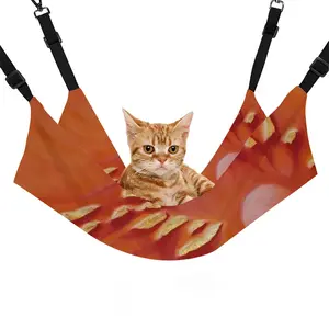 Birth Or Planet One Pet Hammock