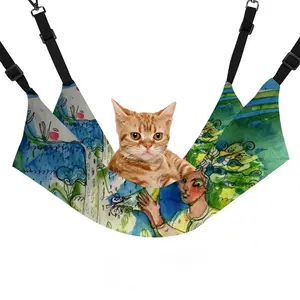 Boy With Bird Pet Hammock