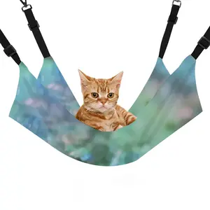 Growth 74 Seconds Pet Hammock