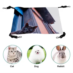 City Cat Pet Hammock