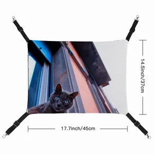 City Cat Pet Hammock