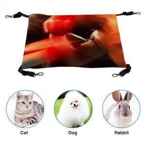 Pugilism Pet Hammock