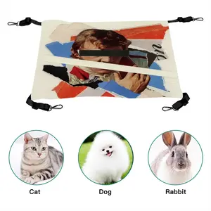 Victory Lap Pet Hammock