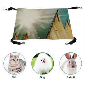 Chapter 5 A Sudden Flash Of Brilliant Light And Deafening Silence Pet Hammock