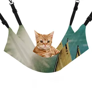 Chapter 5 A Sudden Flash Of Brilliant Light And Deafening Silence Pet Hammock