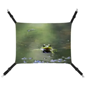 Green Frog - Staring Contest Pet Hammock