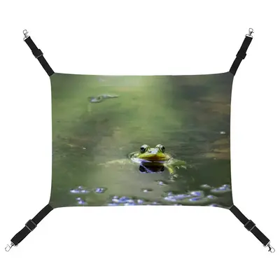 Green Frog - Staring Contest Pet Hammock