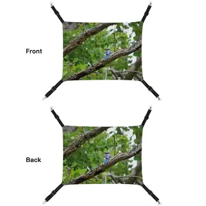 Blue Jay In A Tree - Classic Pose Pet Hammock