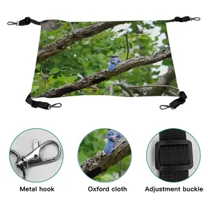 Blue Jay In A Tree - Classic Pose Pet Hammock