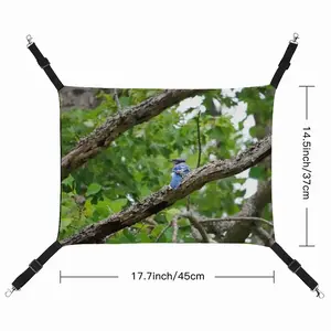 Blue Jay In A Tree - Classic Pose Pet Hammock