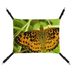 Beautiful New Hampshire Butterfly Pet Hammock