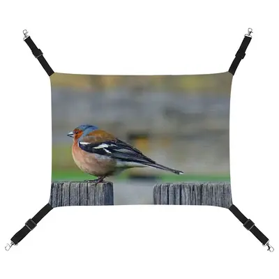 Bird Pet Hammock