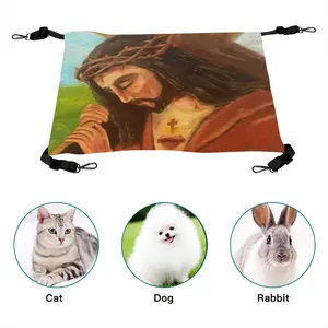 King Jesus Pet Hammock