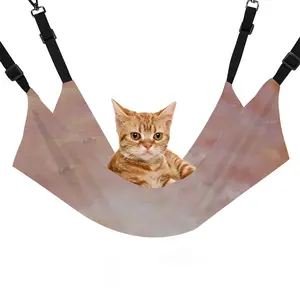 On Barren Paths Pet Hammock