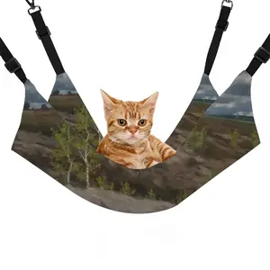 Rayny Days Pet Hammock