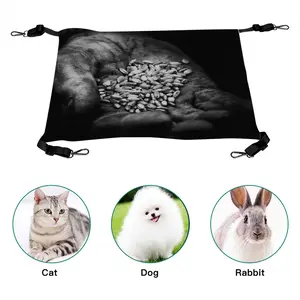 Body Odor Pet Hammock