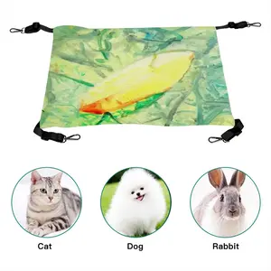 Suspension Pet Hammock