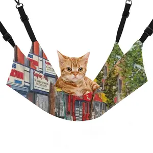 Buster Brown Shoe Store New York City Pet Hammock