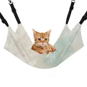 The Beginning Of Everything Pet Hammock