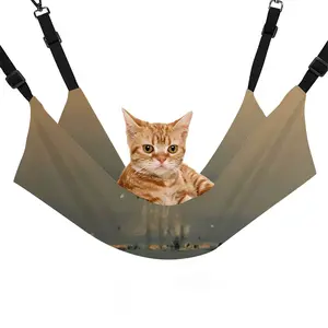 Sailboats A Pet Hammock