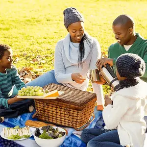 True Blue Picnic Mat (Square)