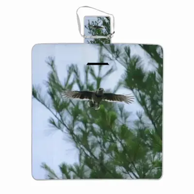 Blue Jay In Flight Picnic Mat (Square)