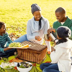 Raspberry Picnic Mat (Square)